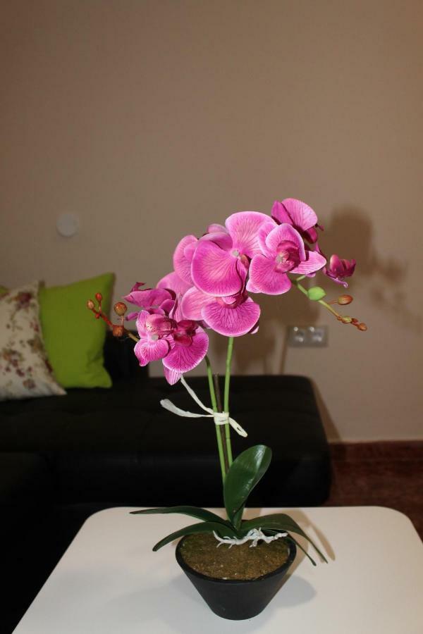 Beautiful Apartment Hercules Коста-дель-Сіленсіо Екстер'єр фото